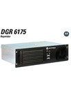 DGR6175